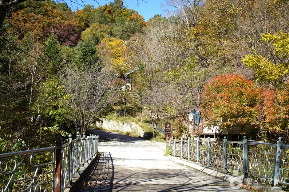 국립 복주산자연휴양림 (6)