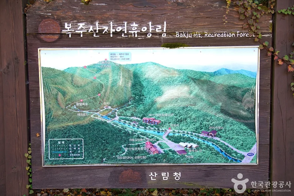 국립 복주산자연휴양림 (17)