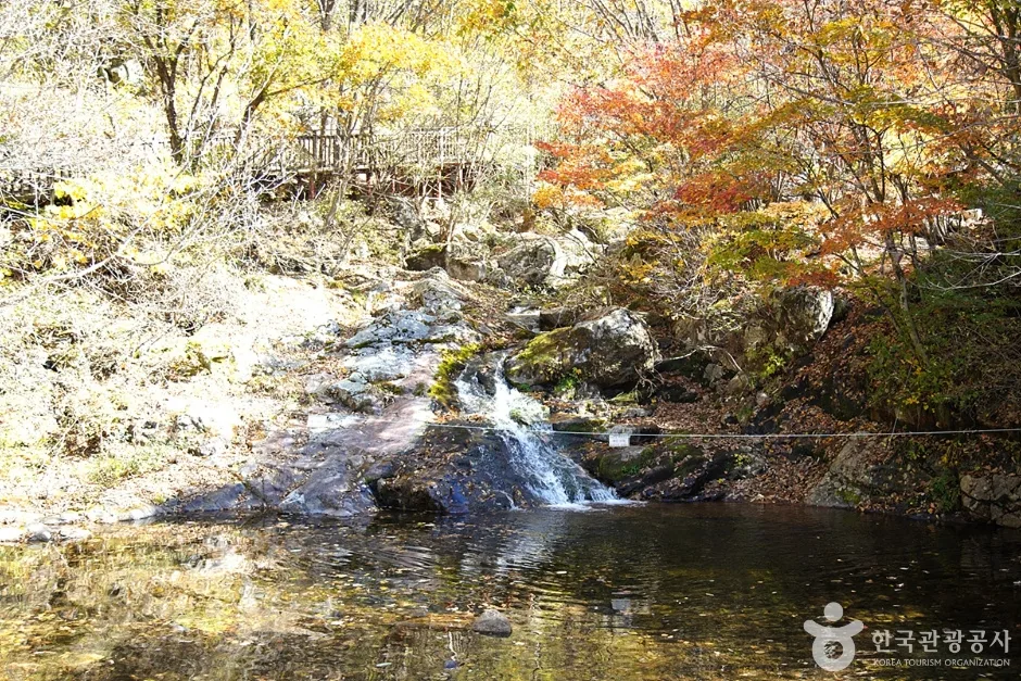 국립 복주산자연휴양림 (9)
