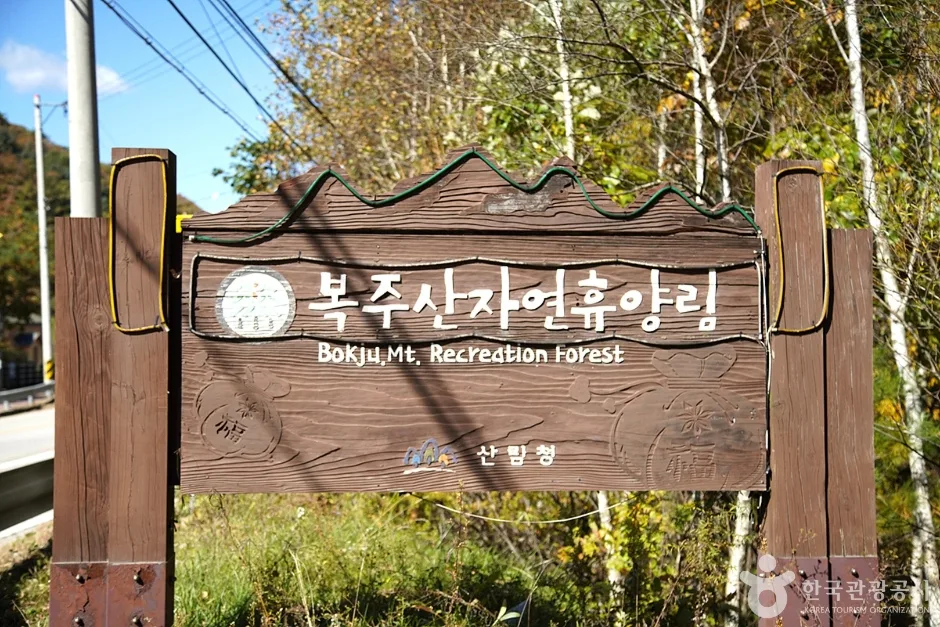 국립 복주산자연휴양림 (1)