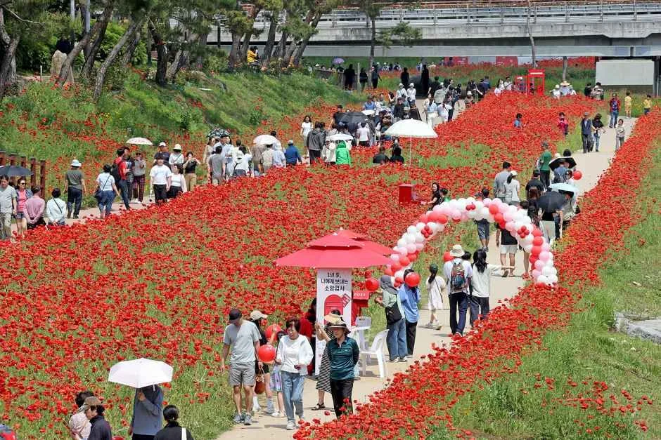 2026 괴산빨간맛페스티벌 (6).jpg