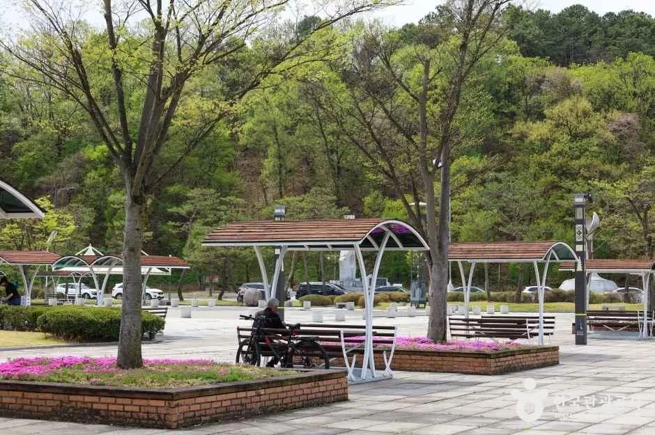 충주_충주탄금공원 (6)