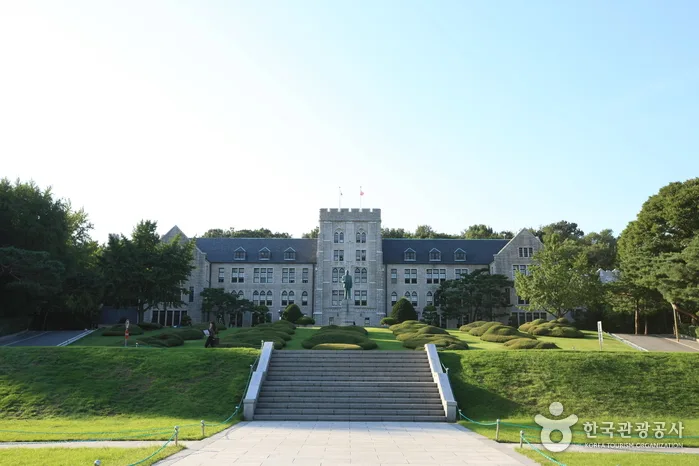 고려대학교