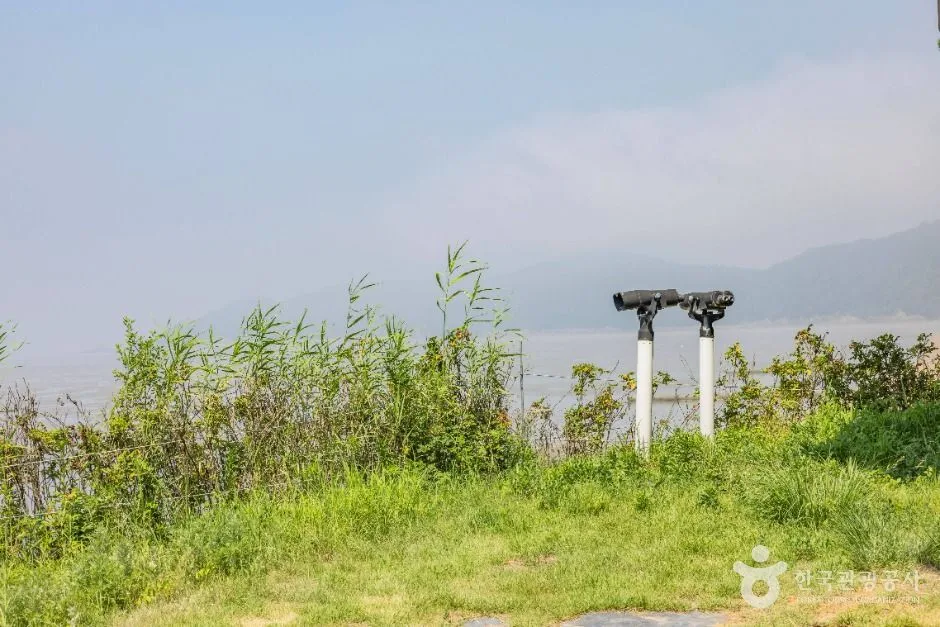 인천_영뜰해변 (11)