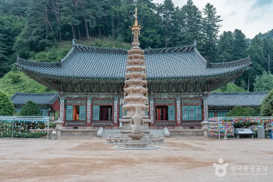 월정사·월정사 전나무숲 (17)