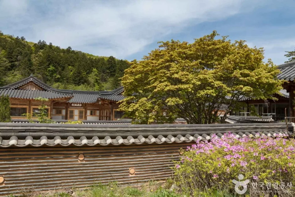 월정사·월정사 전나무숲 (6)