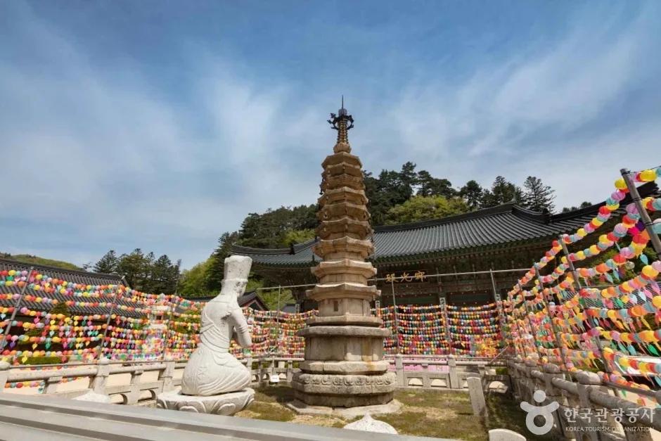 월정사·월정사 전나무숲 (4)