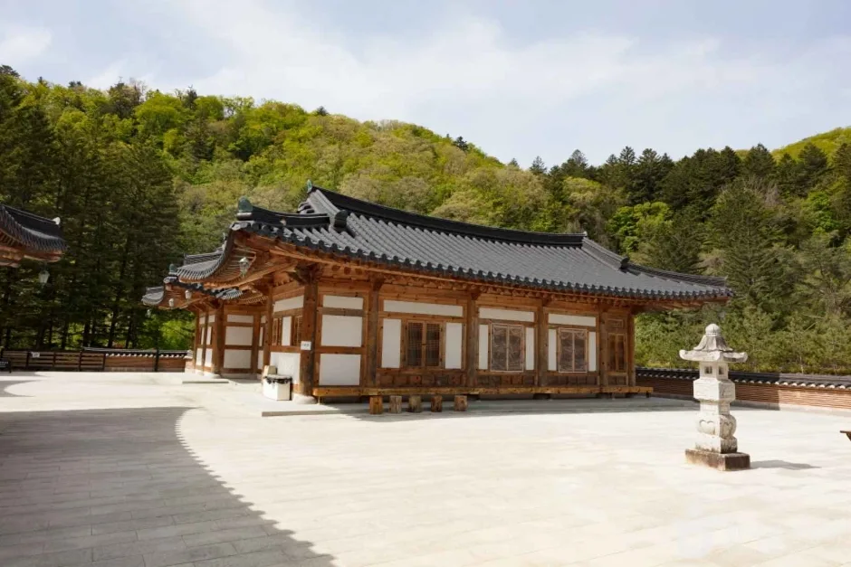 월정사·월정사 전나무숲 (2)