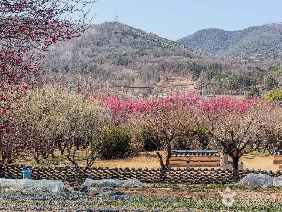 달성_남평문씨본리세거지 (4)