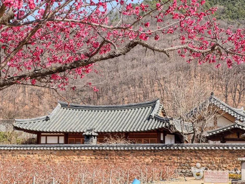 달성_남평문씨본리세거지 (5)