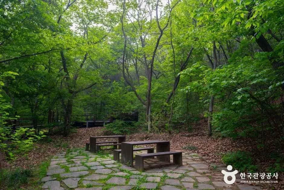 갈매구릉산자락길_무장애나눔길