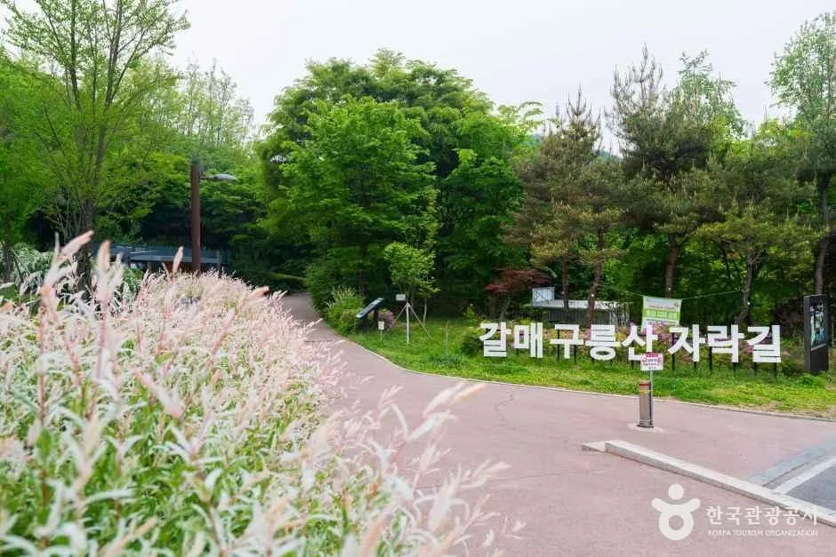 갈매구릉산자락길