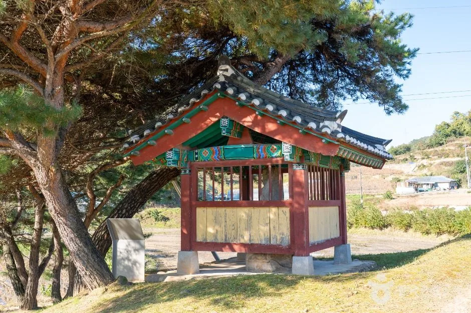 제천_제천 시곡리 석조여래입상 (5)