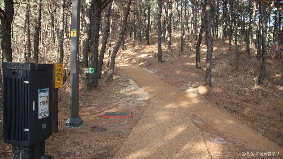 안동_검무산 (4)