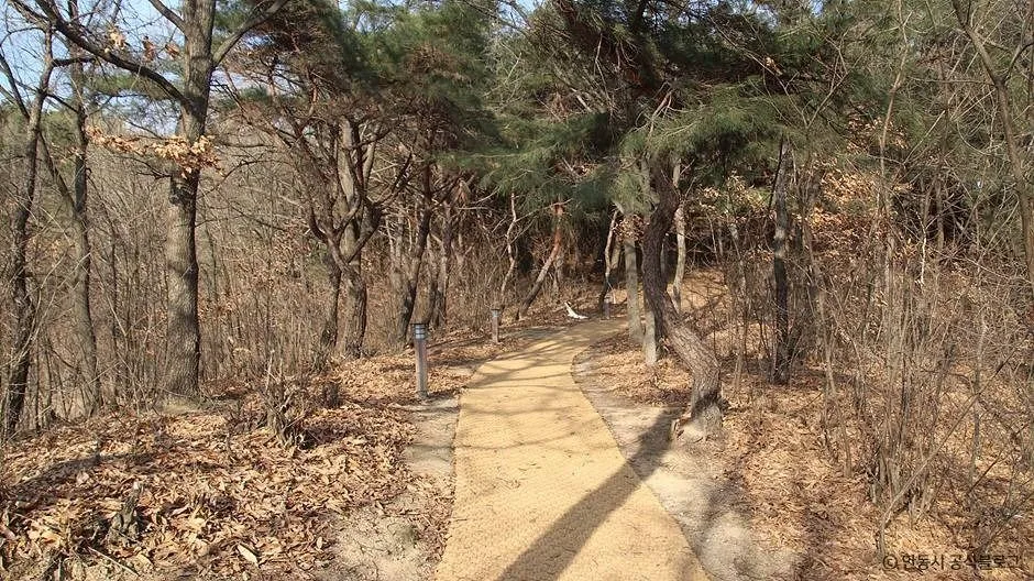 안동_검무산 (3)