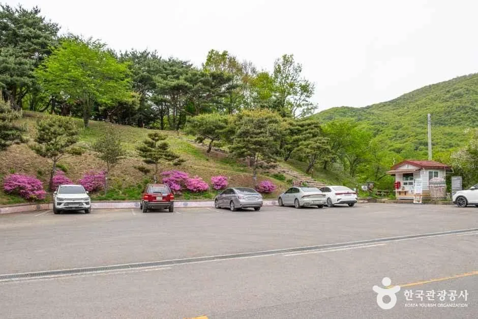 성주_성주 세종대왕자 태실 (1)