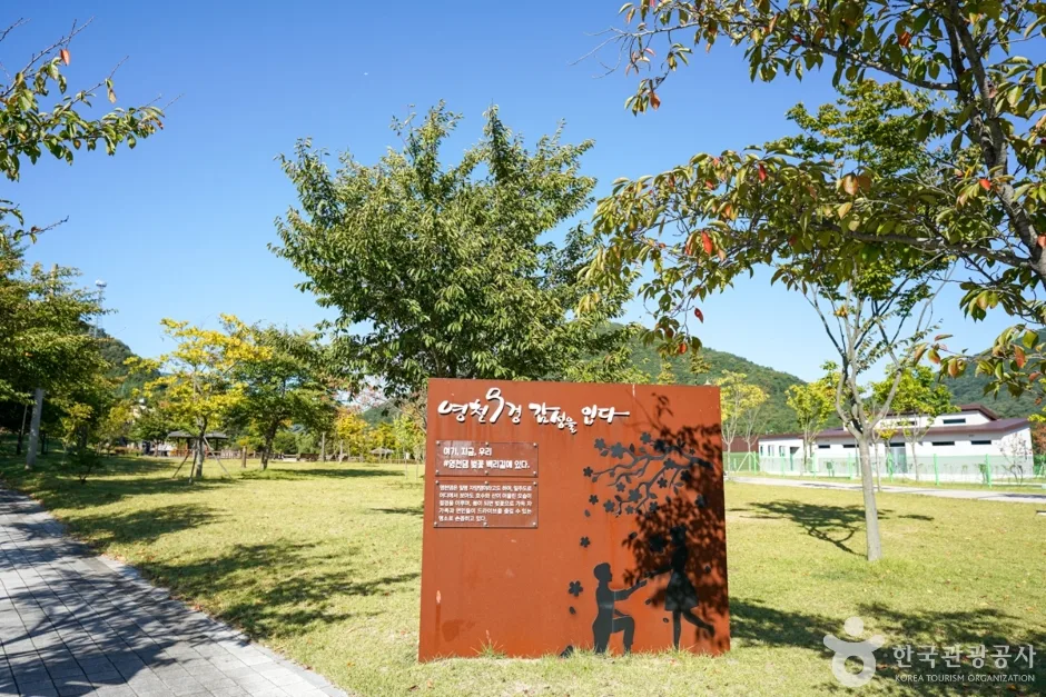 영천댐 (8)