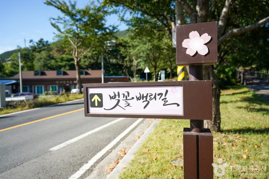 영천댐 (18)