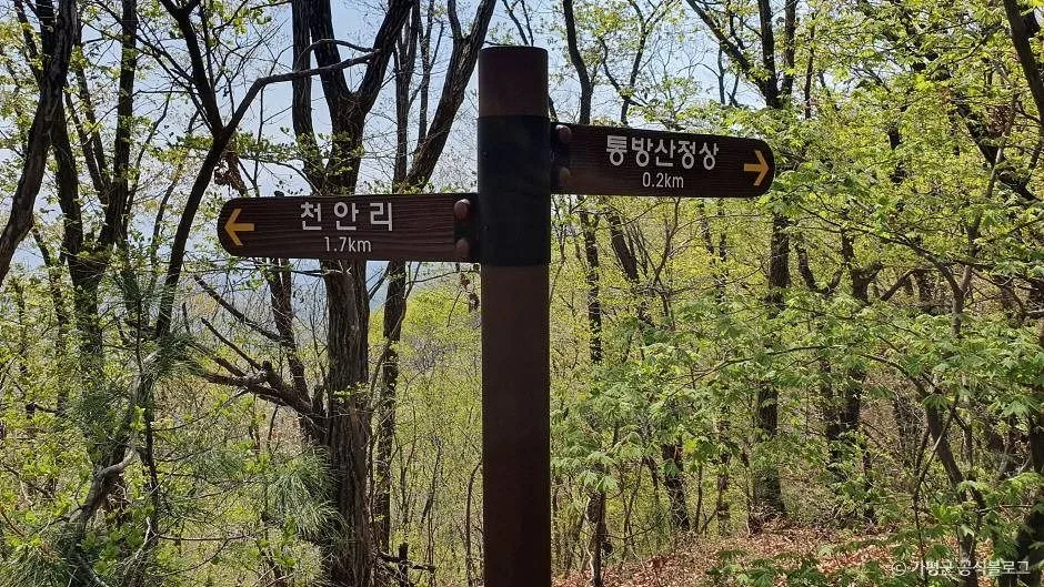 가평_통방산 (13)