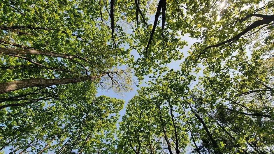 가평_통방산 (8)