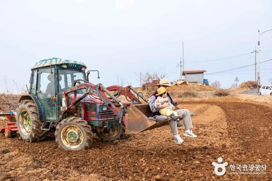 경기_평택_로렌츠감성치유시골체험_체험_1.jpg