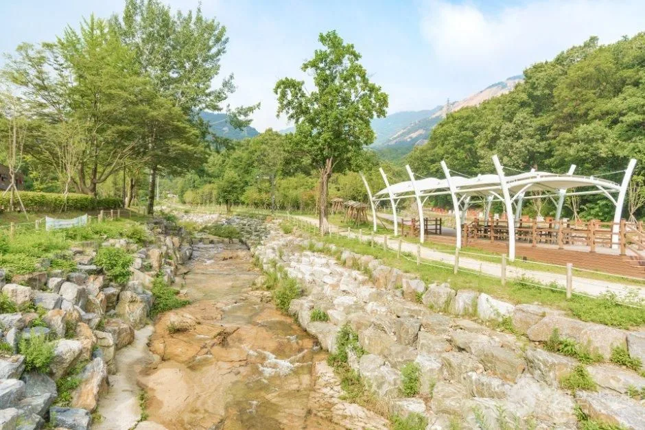 남양주_청학밸리리조트 (5).jpg