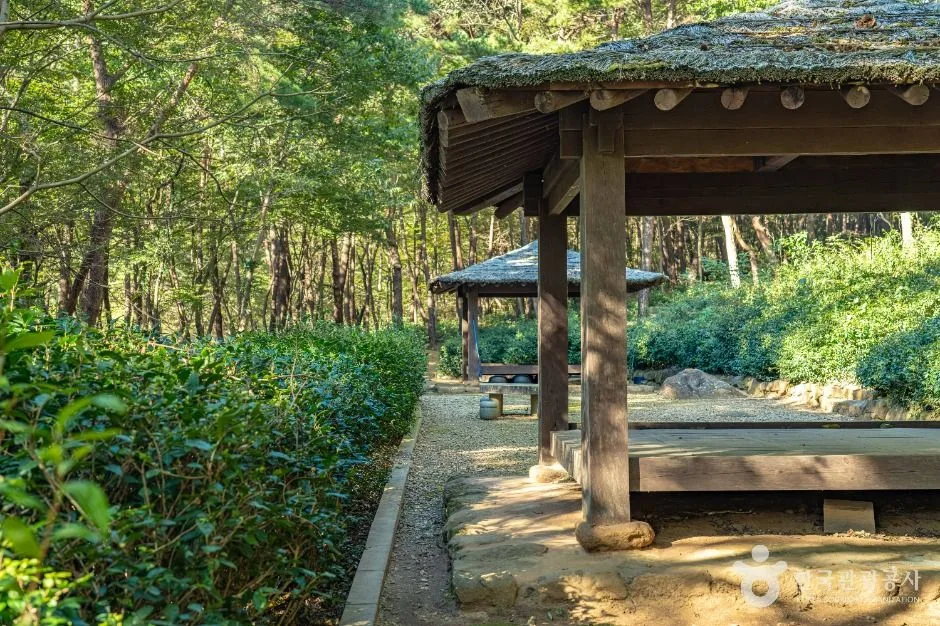 구례_구례장죽전녹차시배지 (6)
