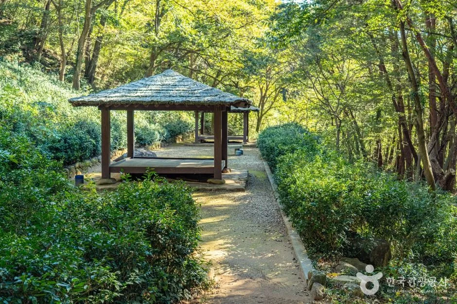 구례_구례장죽전녹차시배지 (2)