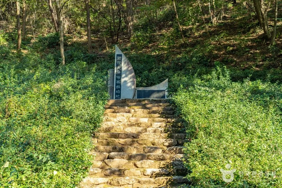 구례_구례장죽전녹차시배지 (3)