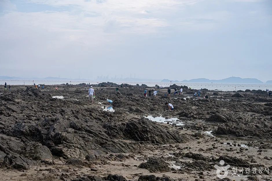 제부리어촌체험휴양마을 (11)