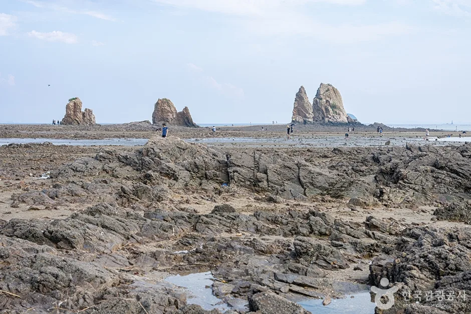 제부리어촌체험휴양마을 (13)