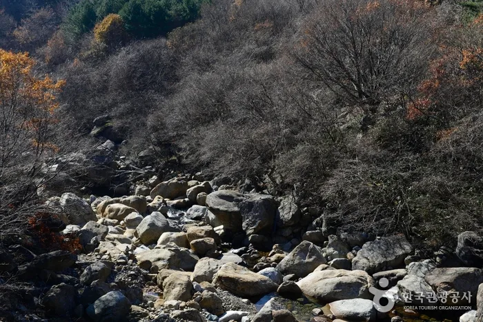 경남_산청_거림계곡04