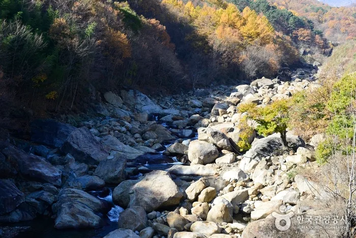 경남_산청_거림계곡05