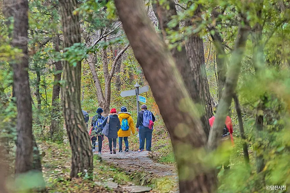 충남_당진시_아미산_(2).jpg