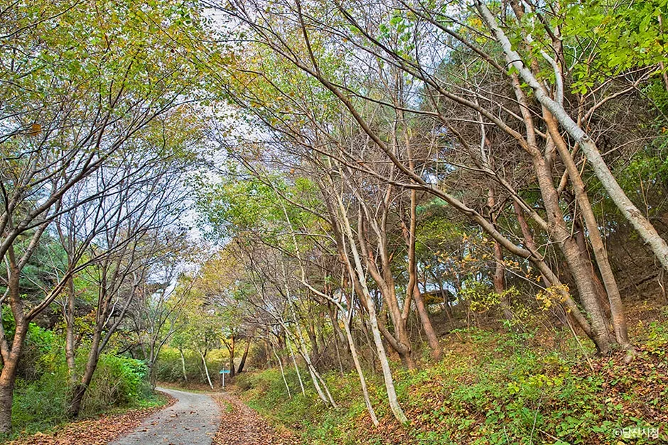 충남_당진시_아미산_(3).jpg