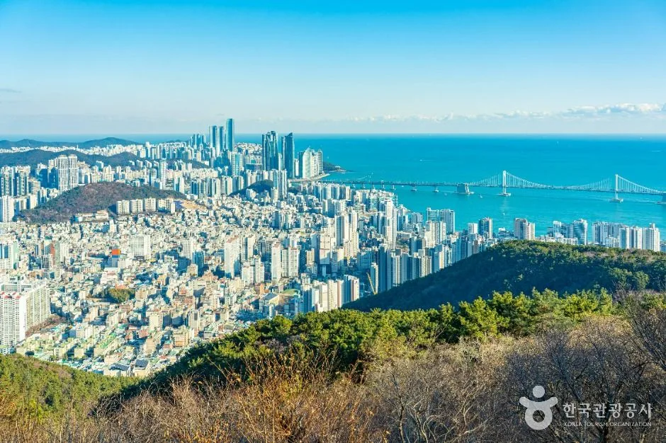 부산_금련산 (1)