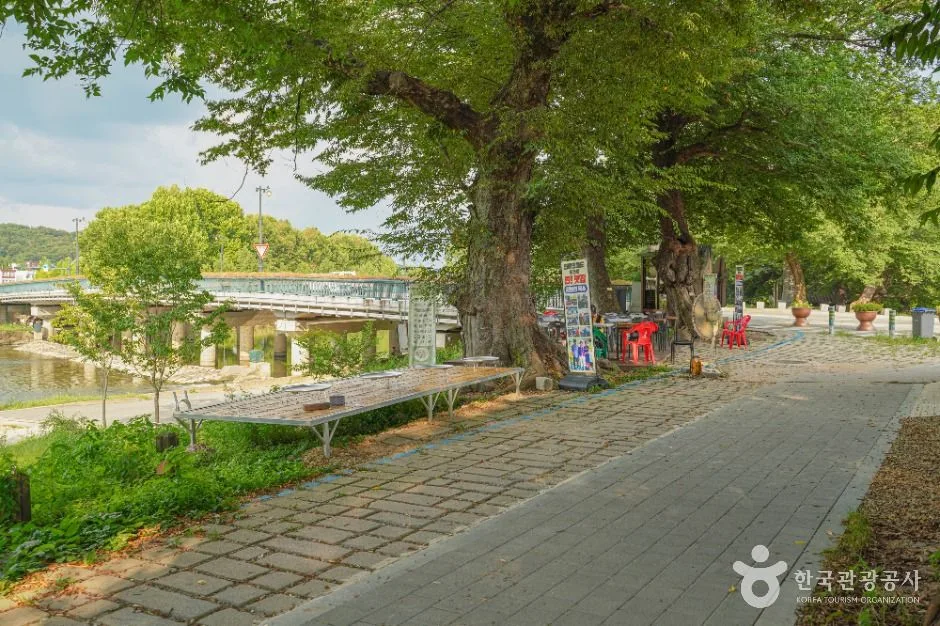 담양_담양 음식테마거리 (4)