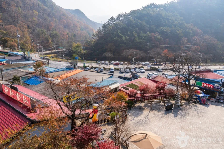 충북_단양_단양관광특구(10)