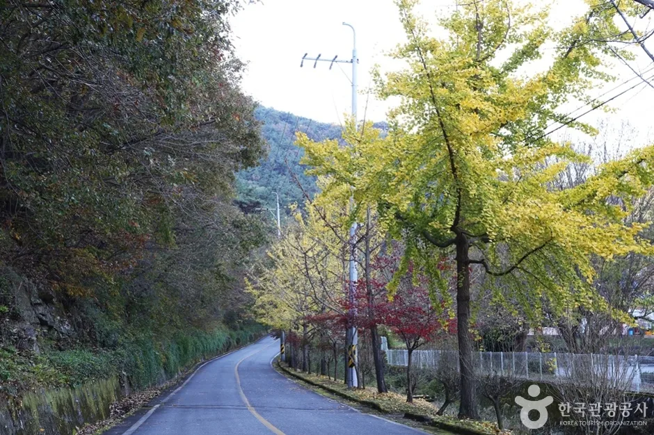 경남_고성_연화산도립공원 (12)