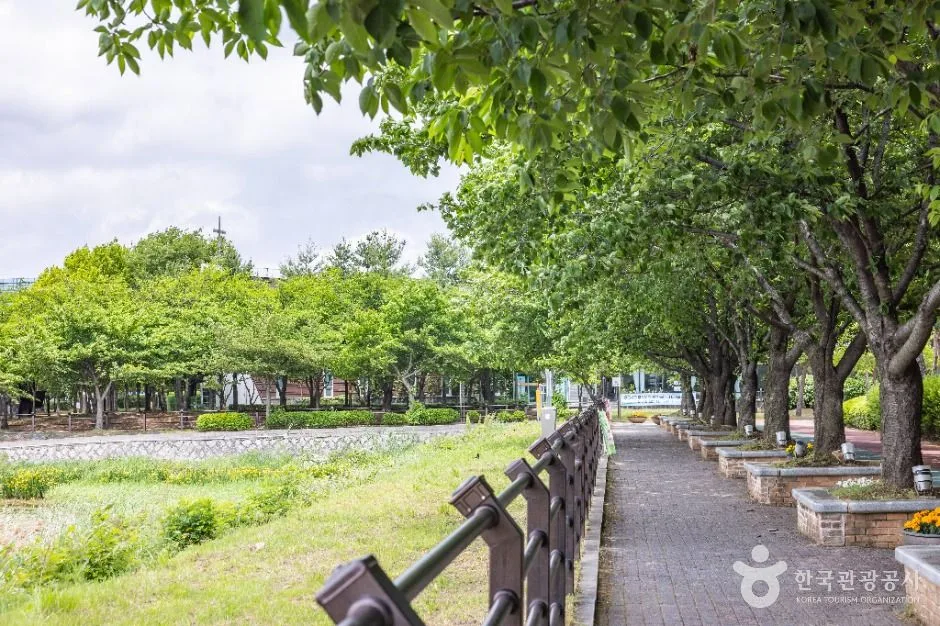 청주_오송호수공원 (10)
