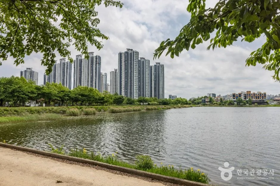청주_오송호수공원 (8)