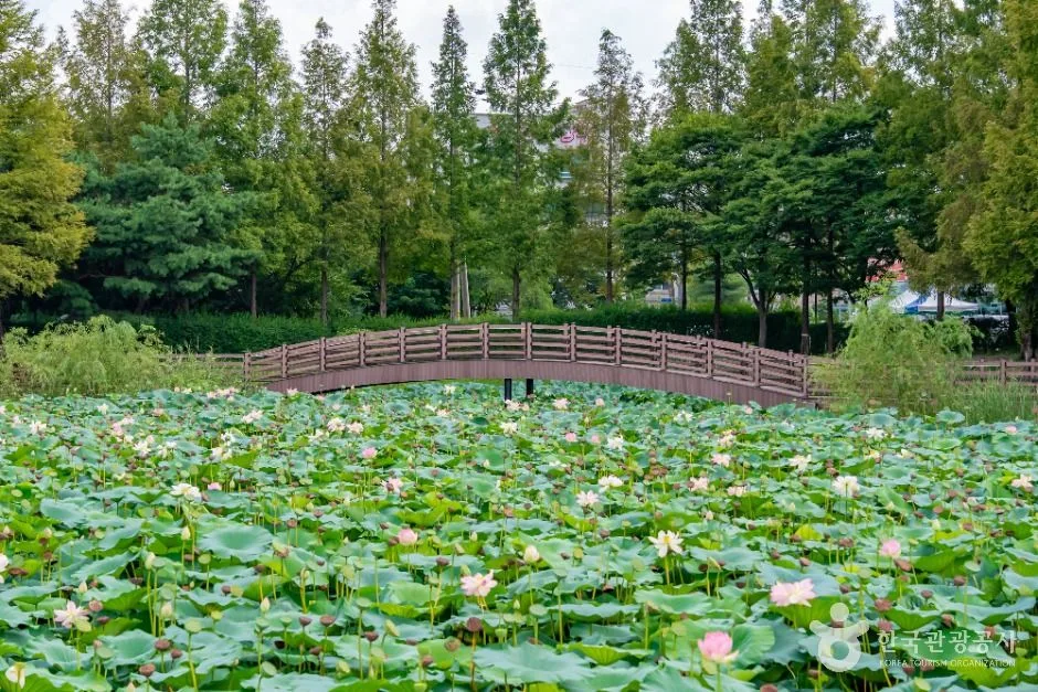 봉담호수공원