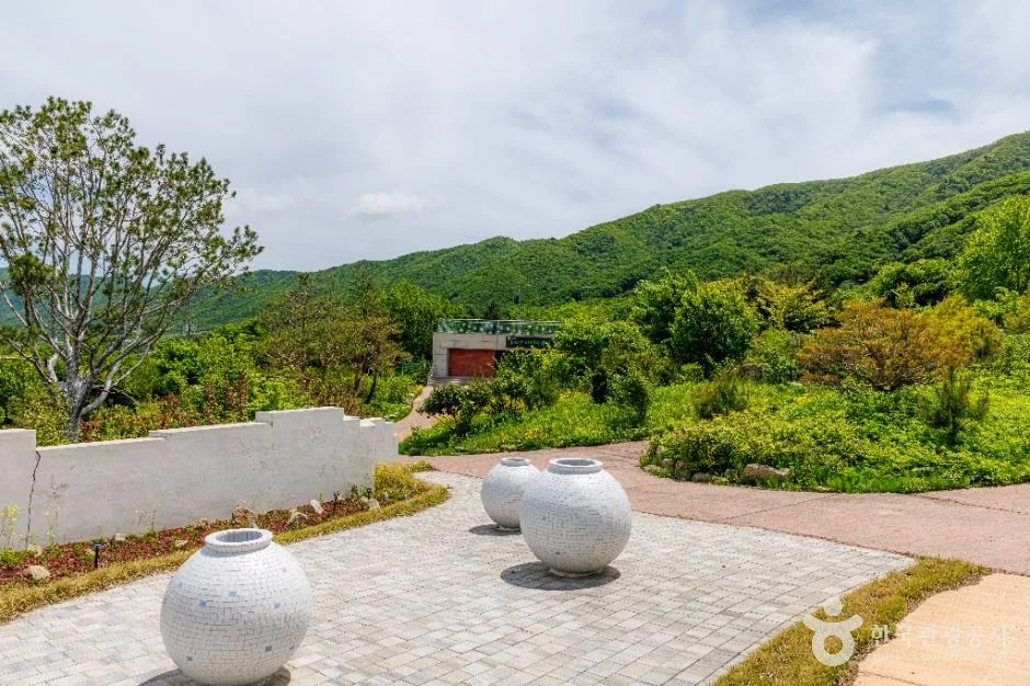 DMZ자생식물원