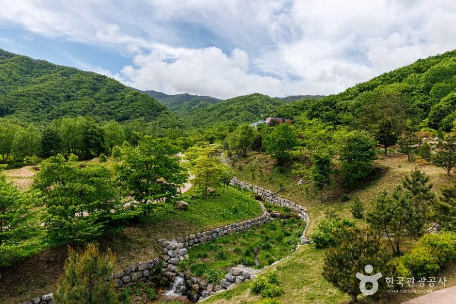 DMZ자생식물원