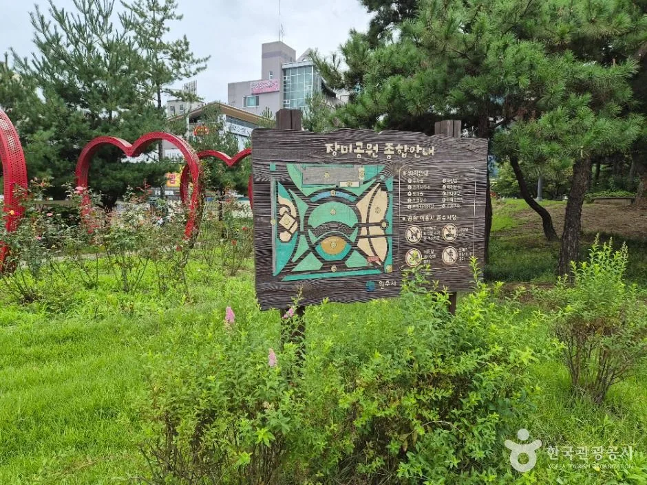 원주_장미공원 (16)