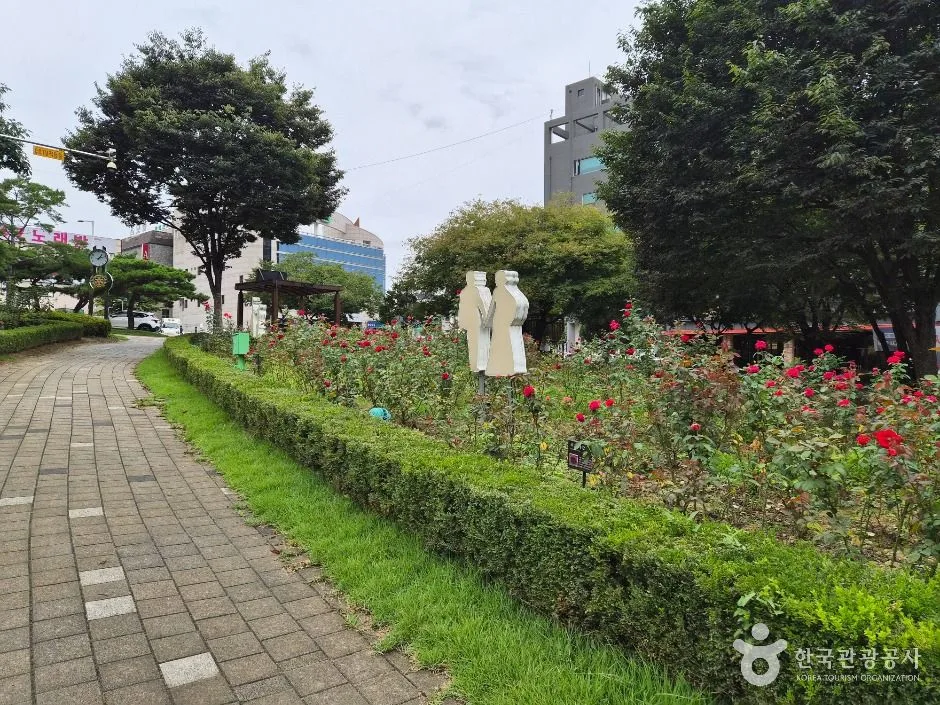 원주_장미공원 (6)