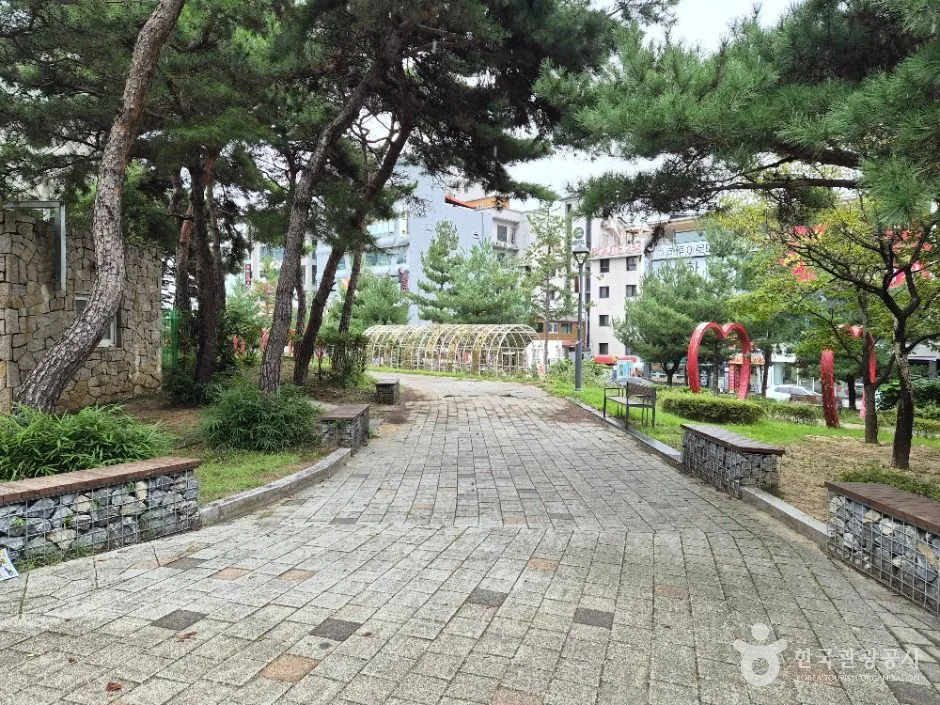 원주_장미공원 (13)