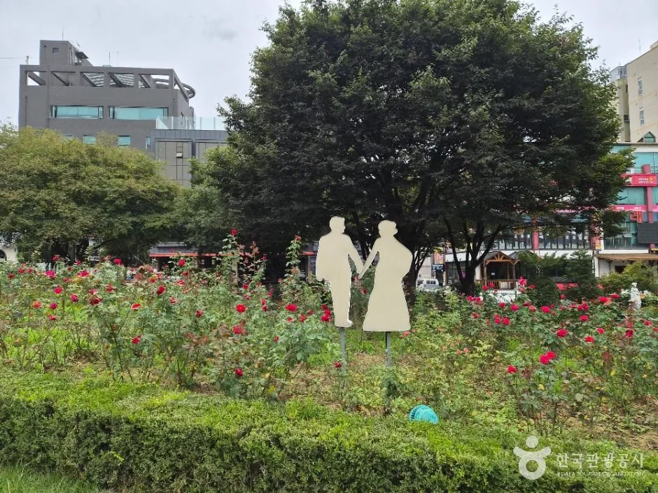 원주_장미공원 (4)