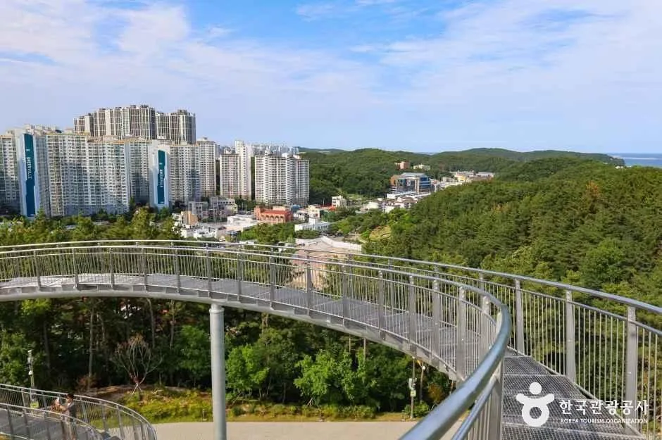 경북_포항_환호공원 스페이스워크_외부_5.jpg