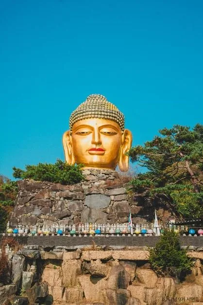 용인 단풍 명소 실시간 한국외대 와우정사 핫플 카페 아리랑도원_와우정사_2-1